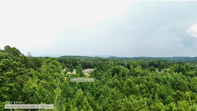 0 Colston Ln, Tunnel Hill, GA 30755