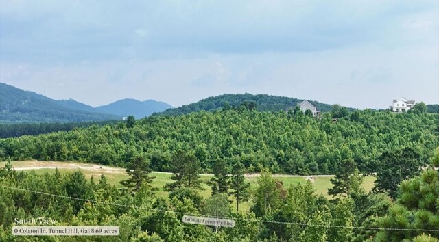 0 Colston Ln, Tunnel Hill, GA 30755
