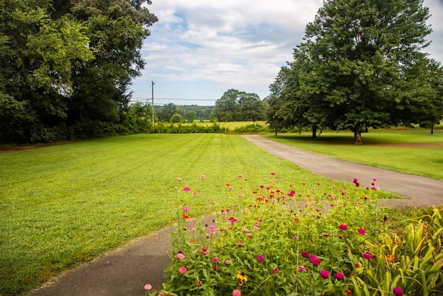 1142 Jim Petty Rd, Crandall, GA 30711 - photo 4