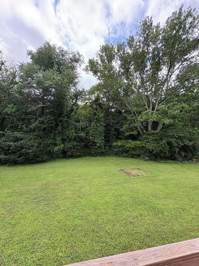139 Hills Dr, Cohutta, GA 30710 - view of green lawn