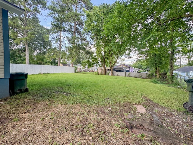 410 Anderson Ave, Dalton, GA 30721 - view of yard