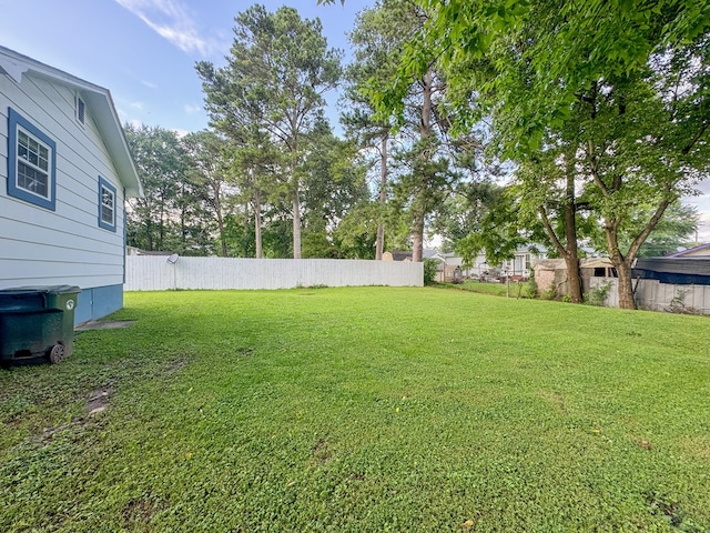 410 Anderson Ave, Dalton, GA 30721 - view of yard