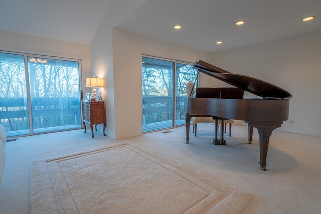 miscellaneous room featuring vaulted ceiling, a wealth of natural light, and light colored carpet