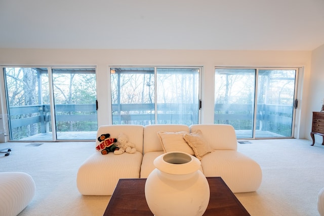 living room with carpet