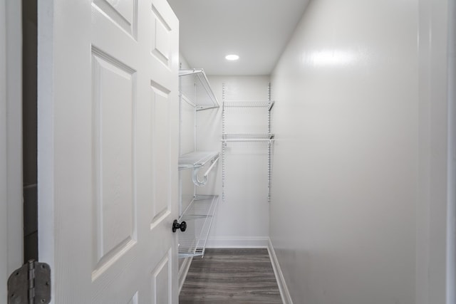 spacious closet with dark wood finished floors