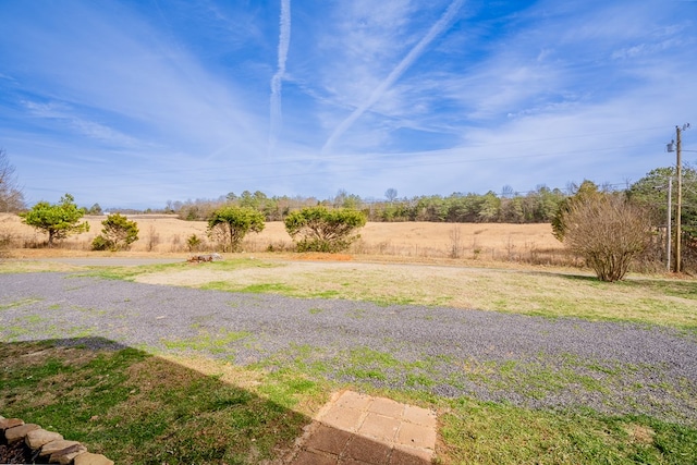 view of yard with a rural view