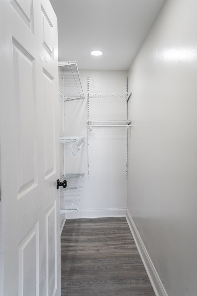 spacious closet featuring dark wood-style floors