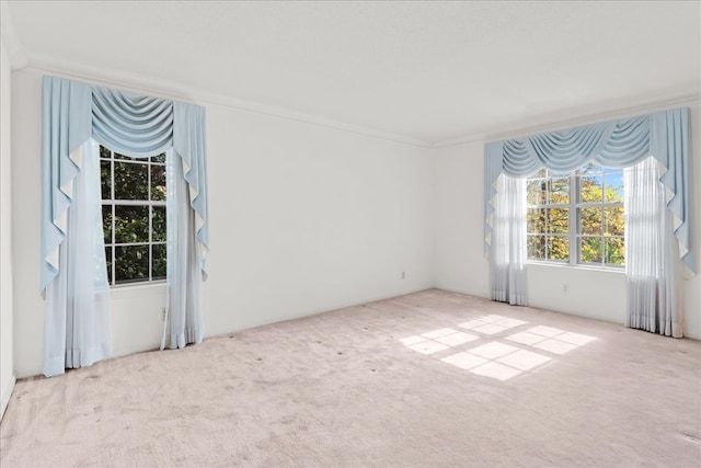 unfurnished room with ornamental molding and light colored carpet