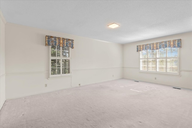 empty room featuring carpet flooring and a textured ceiling