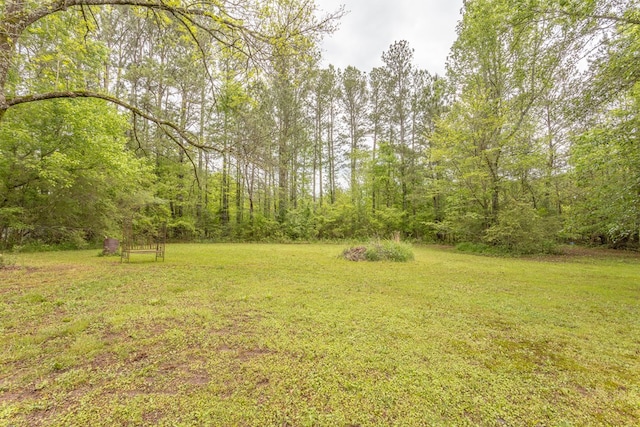 view of yard featuring a view of trees