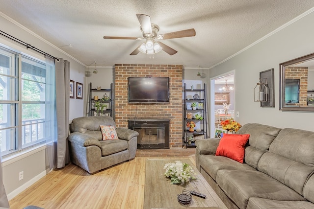 living room featuring plenty of natural light, crown molding, and light wood-type flooring