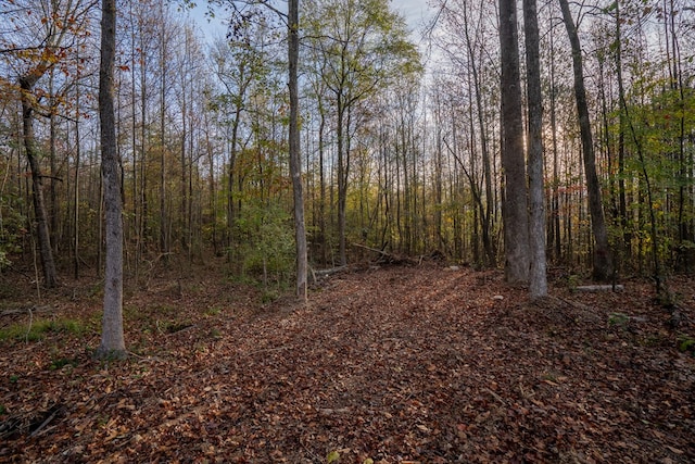 view of local wilderness