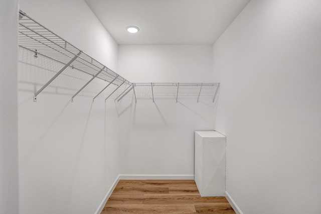 walk in closet featuring hardwood / wood-style floors