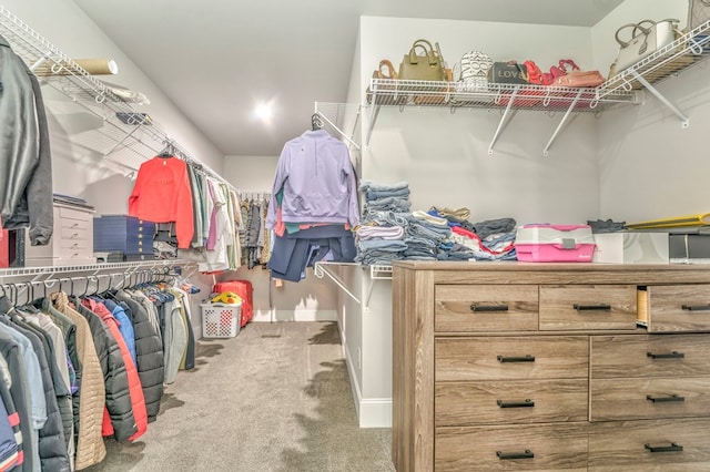 spacious closet with light carpet