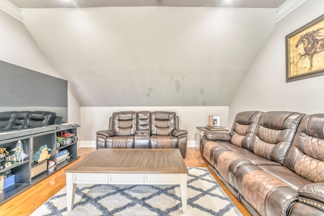 living room featuring vaulted ceiling and light hardwood / wood-style floors