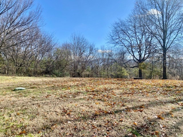 view of local wilderness