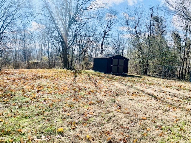 view of yard featuring a shed