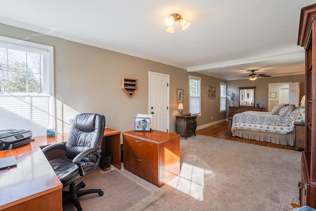 carpeted bedroom with crown molding