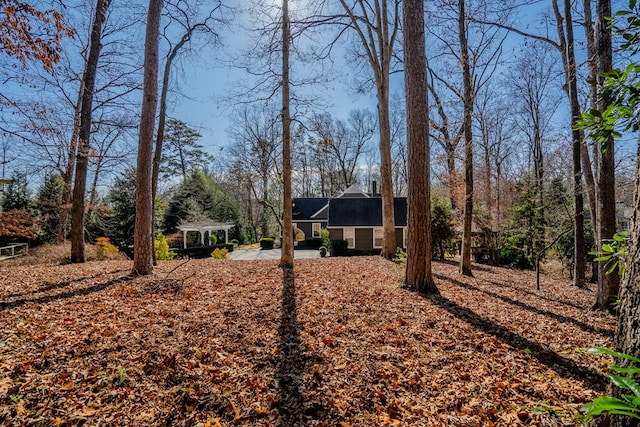 view of yard featuring a patio area