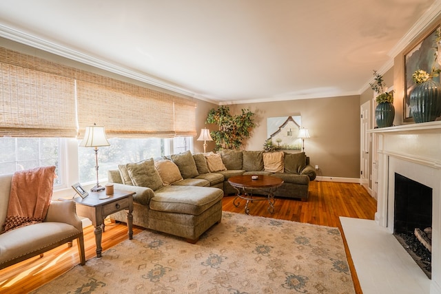 816 Dogwood Ln, Dalton, GA 30720 - living area featuring wood finished floors, crown molding, a fireplace, and baseboards