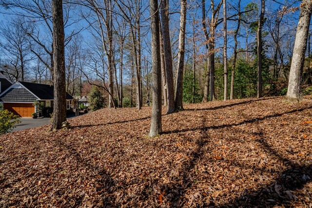 816 Dogwood Ln, Dalton, GA 30720 - view of yard featuring a carport and driveway