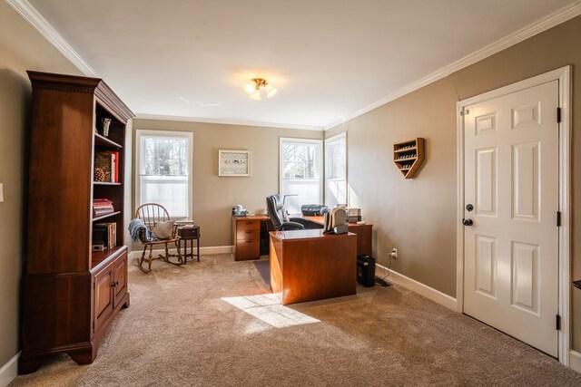 816 Dogwood Ln, Dalton, GA 30720 - office area featuring plenty of natural light, crown molding, light carpet, and baseboards