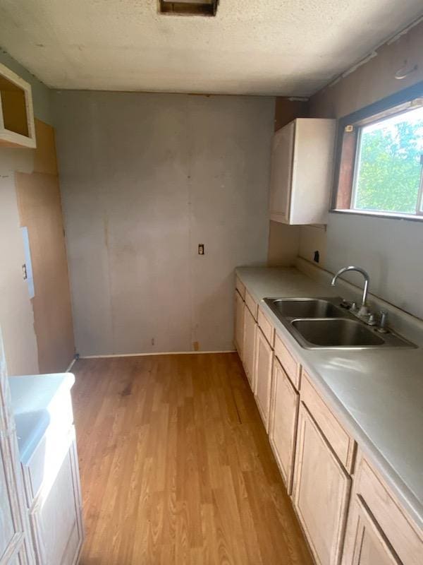 2517 Utility Rd, Rocky Face, GA 30740 - kitchen featuring a sink, light wood-style floors, light countertops, and a textured ceiling