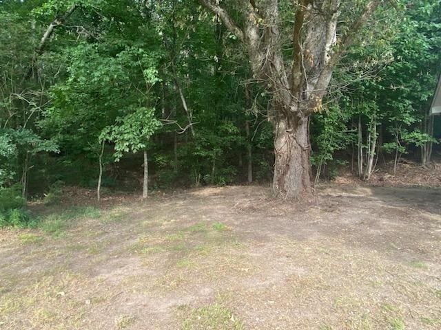 2517 Utility Rd, Rocky Face, GA 30740 - view of local wilderness