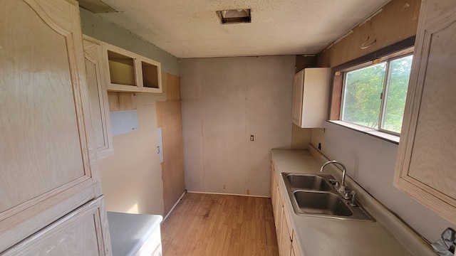 2517 Utility Rd, Rocky Face, GA 30740 - kitchen featuring a sink, light wood-style floors, a textured ceiling, and light countertops