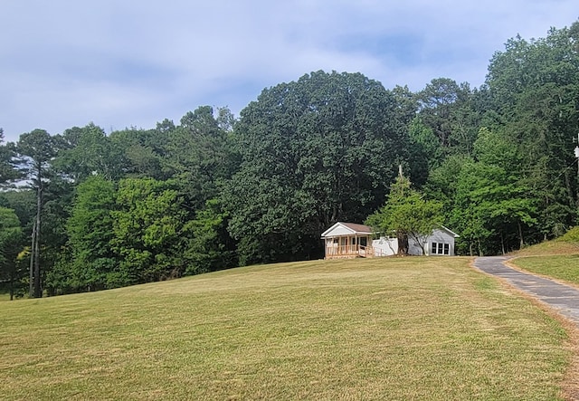 2517 Utility Rd, Rocky Face, GA 30740 - view of grassy yard featuring asphalt driveway and a forest view