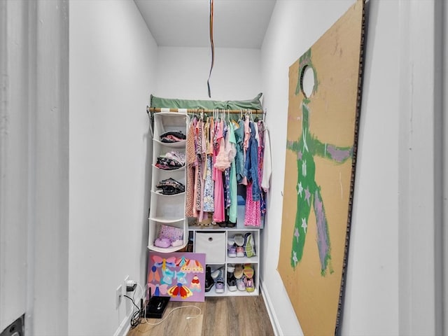 walk in closet featuring wood finished floors