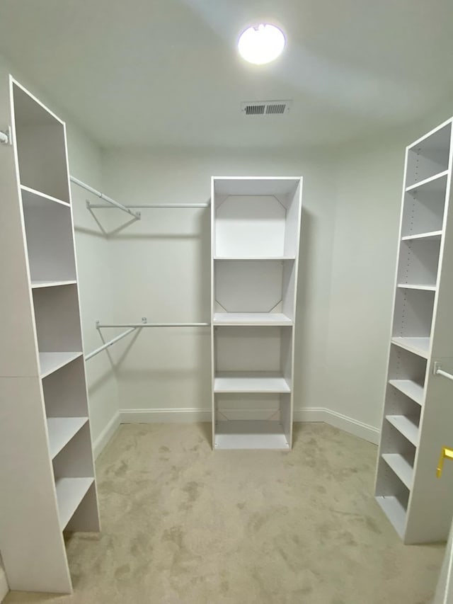 spacious closet with carpet floors