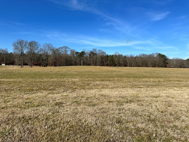 view of yard with a rural view