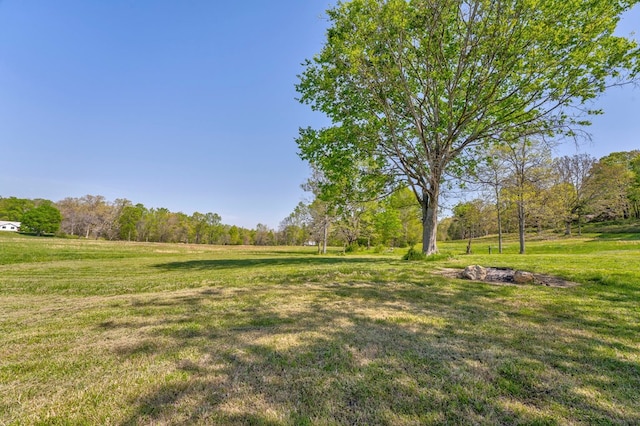 view of yard with a forest view