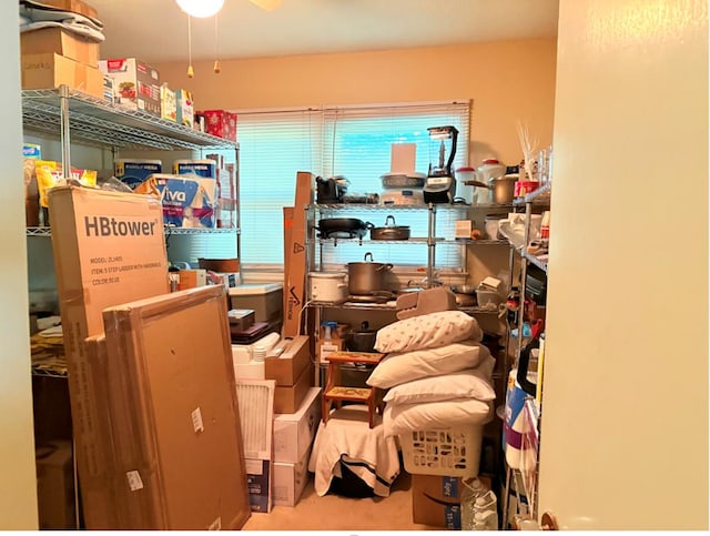 402 Nance Springs Rd, Resaca, GA 30735 - storage area with a ceiling fan