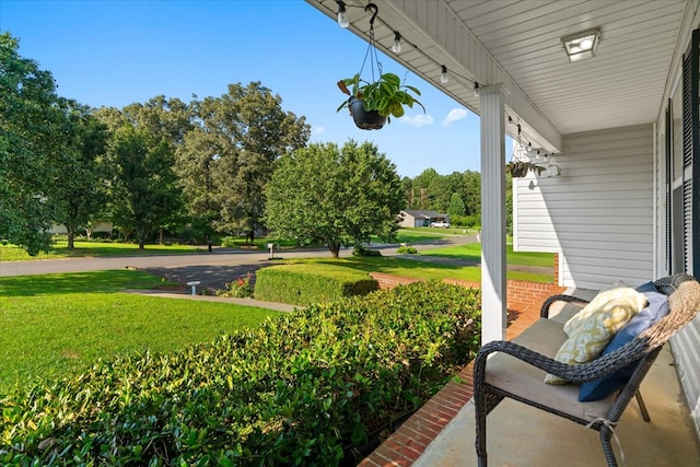 146 Star Dr, Chatsworth, GA 30705 - photo 7