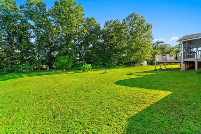 146 Star Dr, Chatsworth, GA 30705 - photo 44