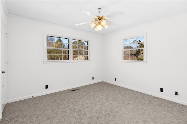 spare room with crown molding, ceiling fan, and carpet flooring