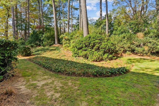 608 Brookview Ln, Dalton, GA 30720 - view of grassy yard