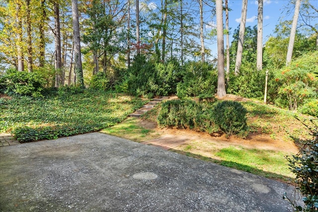 608 Brookview Ln, Dalton, GA 30720 - view of yard