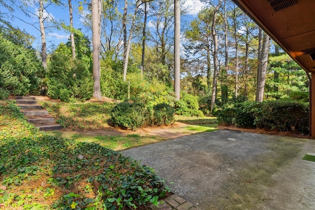 608 Brookview Ln, Dalton, GA 30720 - view of yard featuring a patio