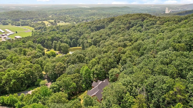 2001 Eagle Point Dr, Dalton, GA 30720 - aerial view of a forest