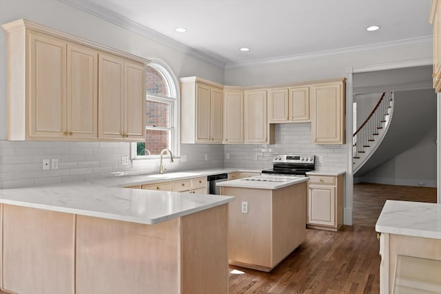 2001 Eagle Point Dr, Dalton, GA 30720 - kitchen featuring a sink, stainless steel appliances, decorative backsplash, crown molding, and a peninsula