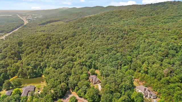 2001 Eagle Point Dr, Dalton, GA 30720 - aerial view of property's location with a forest and a mountainous background