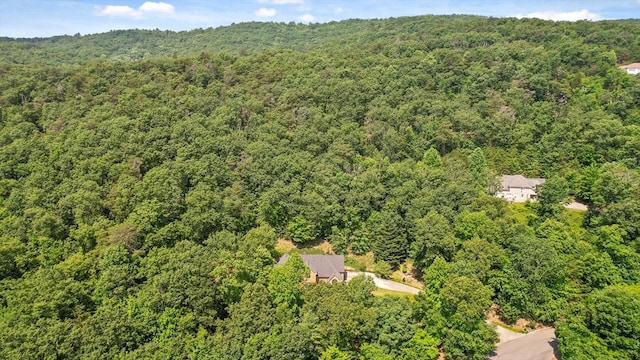2001 Eagle Point Dr, Dalton, GA 30720 - aerial view of property's location featuring a heavily wooded area
