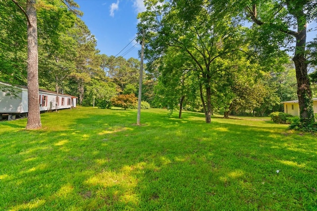 1098 Mount Vernon Rd, Tunnel Hill, GA 30755 - view of green lawn