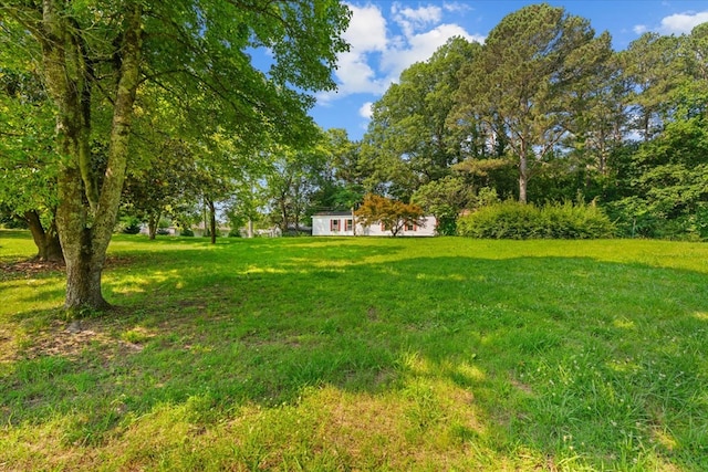 1098 Mount Vernon Rd, Tunnel Hill, GA 30755 - view of grassy yard