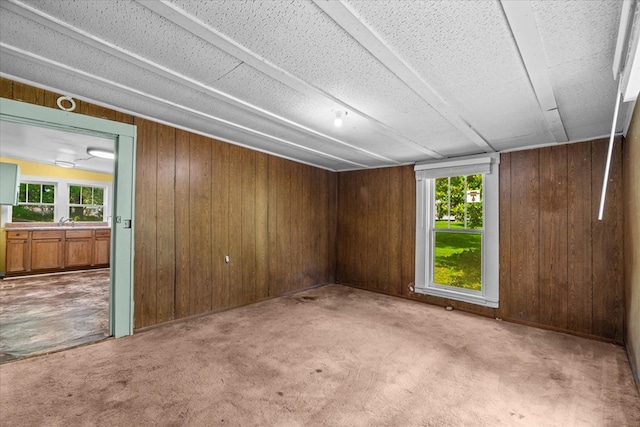 1098 Mount Vernon Rd, Tunnel Hill, GA 30755 - carpeted empty room featuring wood walls and plenty of natural light