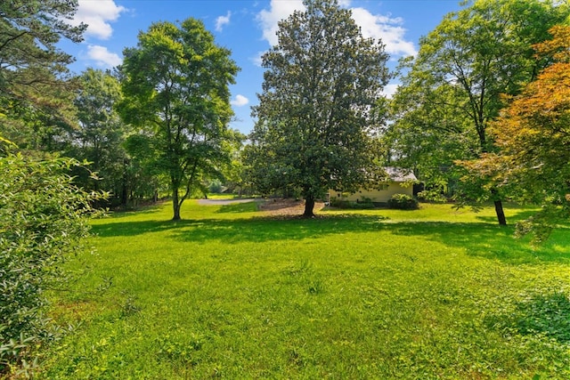 1098 Mount Vernon Rd, Tunnel Hill, GA 30755 - view of grassy yard