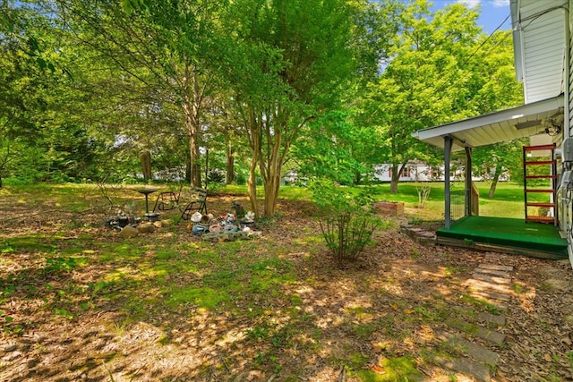 1098 Mount Vernon Rd, Tunnel Hill, GA 30755 - view of yard